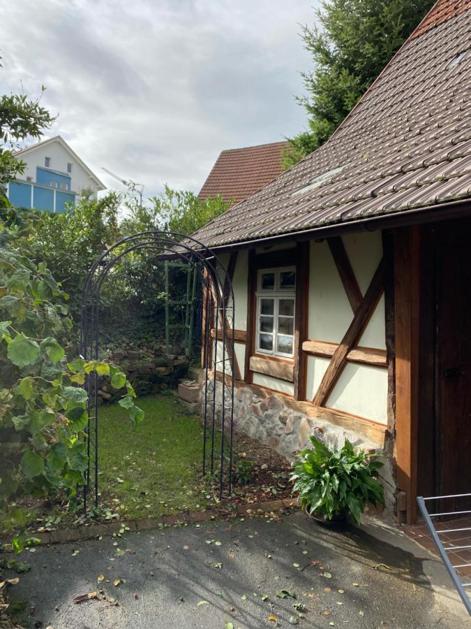 Basler Ferienwohnung Офенбург Екстериор снимка